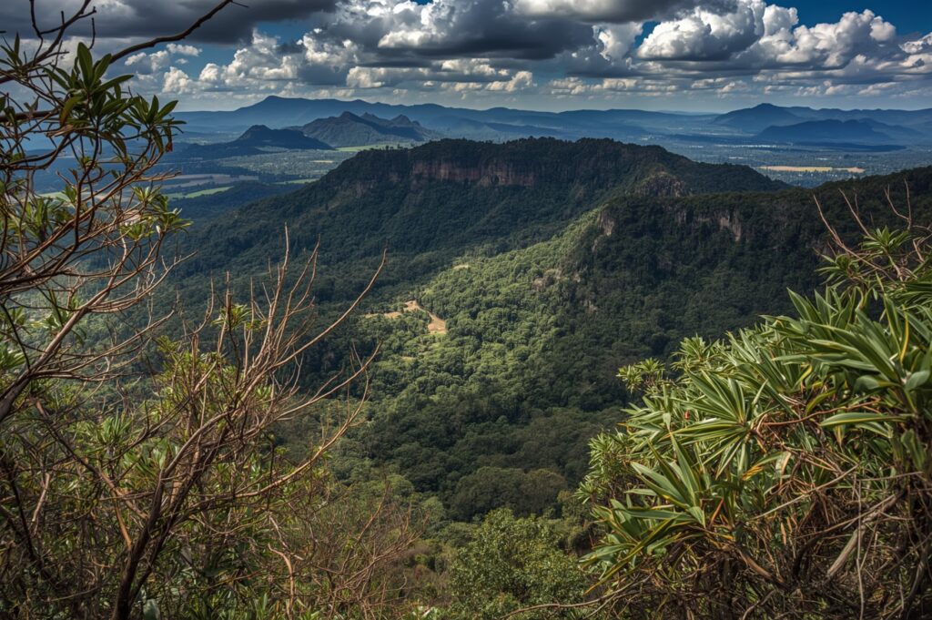 Foreign Influence in Latin American Indigenous Issues