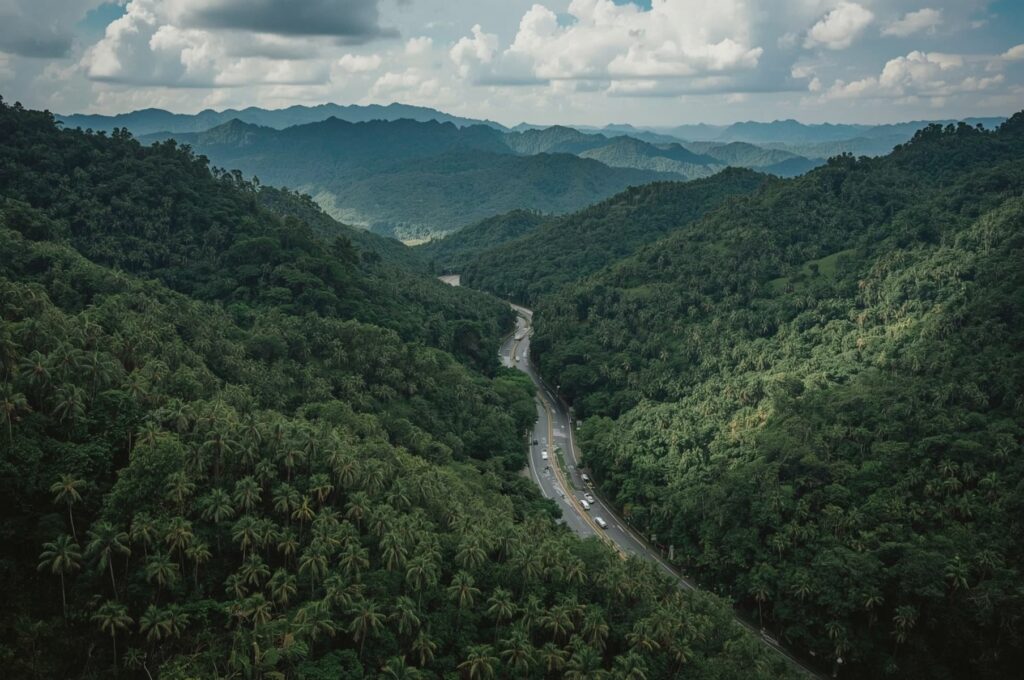 US-Colombia Relations: From Plan Colombia to Petro